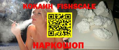 индика Сланцы