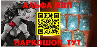 индика Сланцы