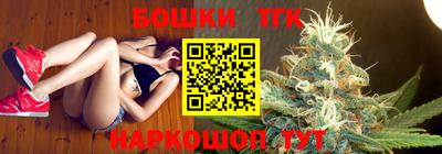 индика Сланцы