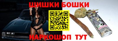 индика Сланцы