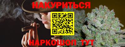 индика Сланцы