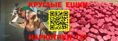 индика Сланцы